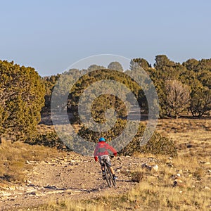Clear Square Man riding a bicycle on an unpaved trail on a sunny day