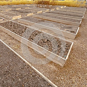 Clear Square Rows of raised wooden garden beds with faucets and filled with coarse brown soil