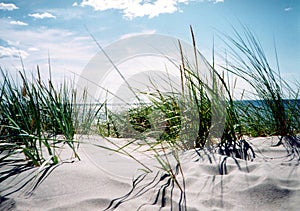 Clear summer day by the seaside