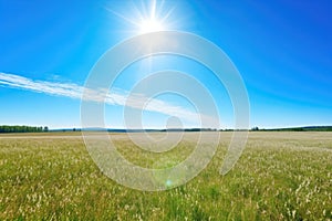 clear summer sky with a bright, high noon sun