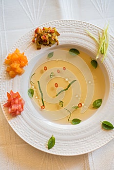 Clear tomato soup with chopped vegetables