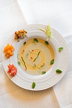 Clear tomato soup with chopped vegetables