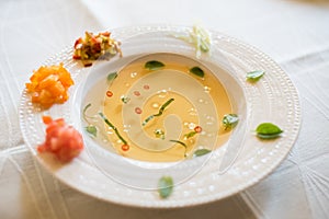 Clear tomato soup with chopped vegetables