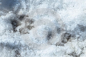 Clear traces of a dog in the winter in the snow