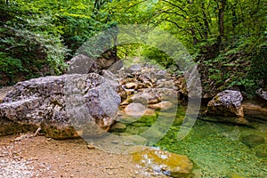 Clear transparent water in a mountain river and stones in the forest