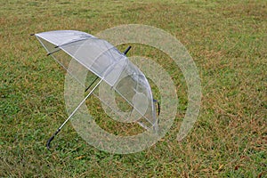 A clear umbrella placed on the lawn.