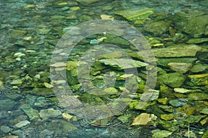 Clear water and the bottom of a mountain lake