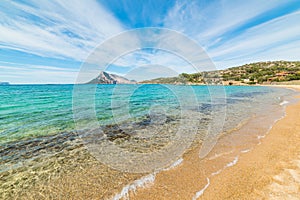 Clear water in Capo Coda Cavallo shore