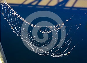 Clear Water Droplets strung together on a Spider web after a gentle rain