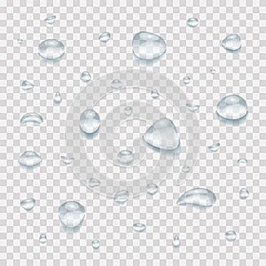 Clear water drops on transparent background. Realistic water rain drops on window, shower steam condensation on glass.