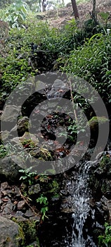 Clear water flows between the rocks of the Sentul hills