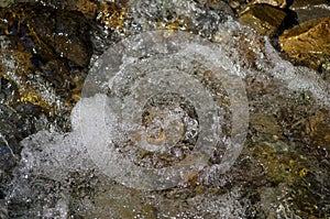 Clear water in the forest river