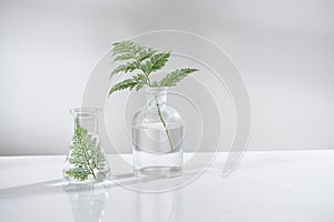 Clear water in glass flask and vial with natural green leave in biotechnology science laboratory background
