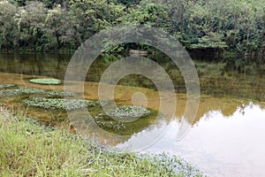 Clear water of guanshanhu lake, adobe rgb