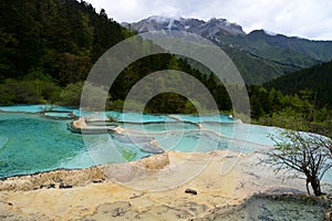 Clear water at Jiuzhaigou National Park ï¼Œsicuan china.