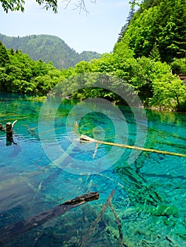Clear water at Jiuzhaigou National Park ï¼Œsicuan china.