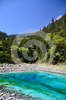 Clear water at Jiuzhaigou National Park ï¼Œsicuan china.