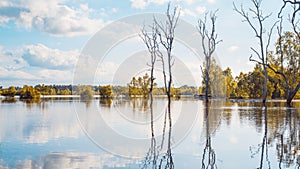 Clear water lake with reflections of trees during sunset time