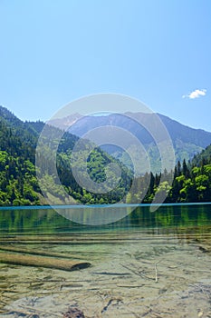 Clear water, mountains and forest at Jiuzhaigou National Park ï¼Œsicuan china.