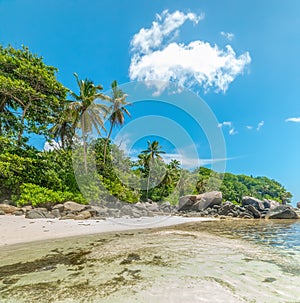 Clear water, palm trees and granite rocks in Anse Royale beach