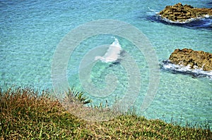 The clear water at Point Lookout