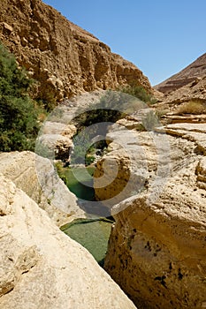 Clear water pools along the arid landscape of Wadi Arugot