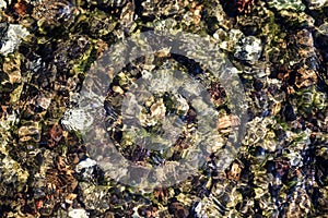 Clear water in the river over the texture of rock.