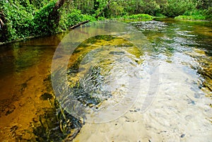 Clear water in the Rock Springs run river to Wekiwa River in the Kelly Park