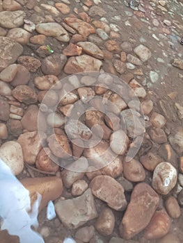 clear water, rocks at the bottom of the river