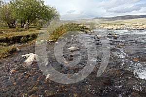 Clear water in the rugged mountain river