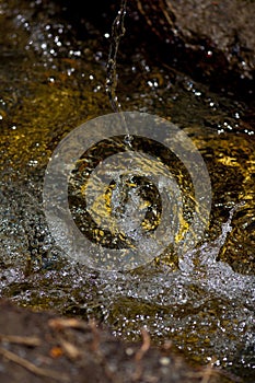 Clear water in the forest river