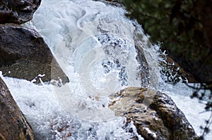 Clear water in the forest river