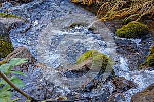 clear water of small spring flows over the stones with moss.