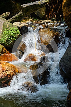 Clear water from a waterfall, running through many stones, through plants, creating many small waterfalls in its path, suggests th