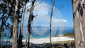 Clear water and white sand beach in Cies Islands photo