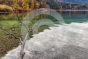 Clear waters of bavarian Alpsee lake and autumn colors