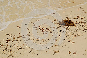 Clear waters on the beach sand with pebbles