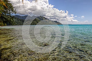 Clear Waters in Moorea.French Polynesia