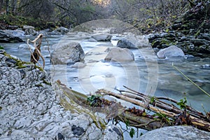 The clear waters of the Rui stream, Mel, Belluno, Italy