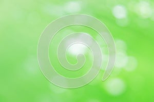 Clear white circle bokeh blur abstract background from  photo of water drop on banana leaf