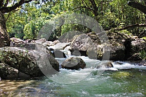 Clear and white water river rushing over boulders in rainforest