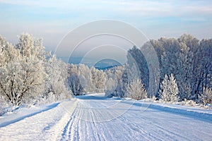 Clear winter day. Clear frosty blue sky. The road turns into the sparkling silver forest