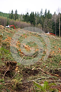 Clearcut Logging In Pacific Northwest