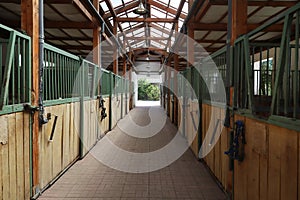 Cleared empty stall in the stable keeping sport horses