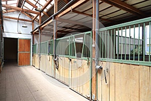 Cleared empty stall in the stable keeping sport horses