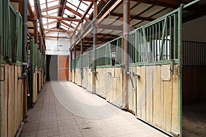 Cleared empty stall in the stable keeping sport horses