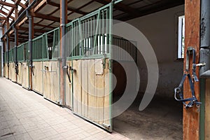 Cleared empty stall in the stable keeping sport horses