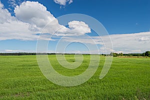 Cleared scene of blue sky and green grass field only nature