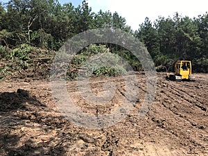 Forest Land clearing with bulldozer photo