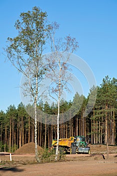 Clearing of a forest for the construction of the A14 motorway
